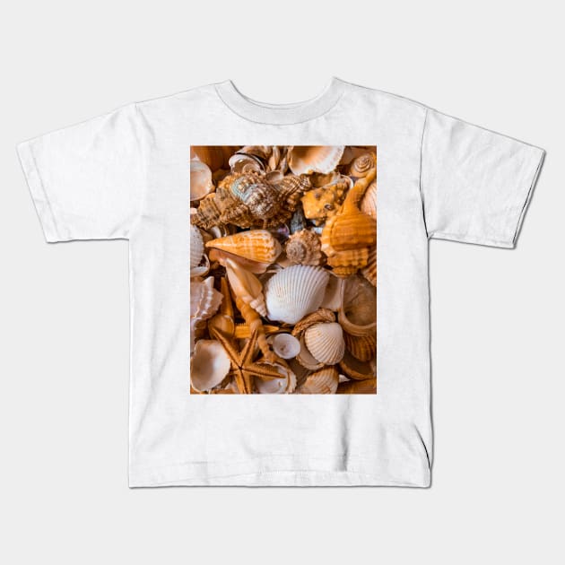 Summer Seashells Caribbean Sea Travel Relax Beach Yoga Kids T-Shirt by eleonoraingrid